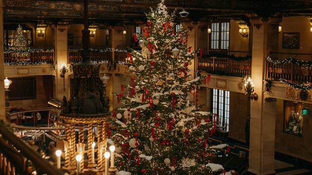 Photographer: @jaimedenisephoto | www.jaimedenisephotography.com